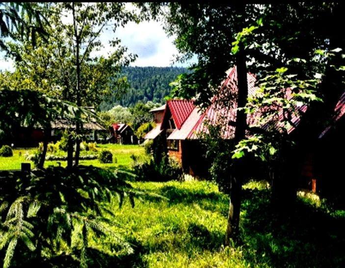 Гостевой дом Vodoliy Микуличин Экстерьер фото