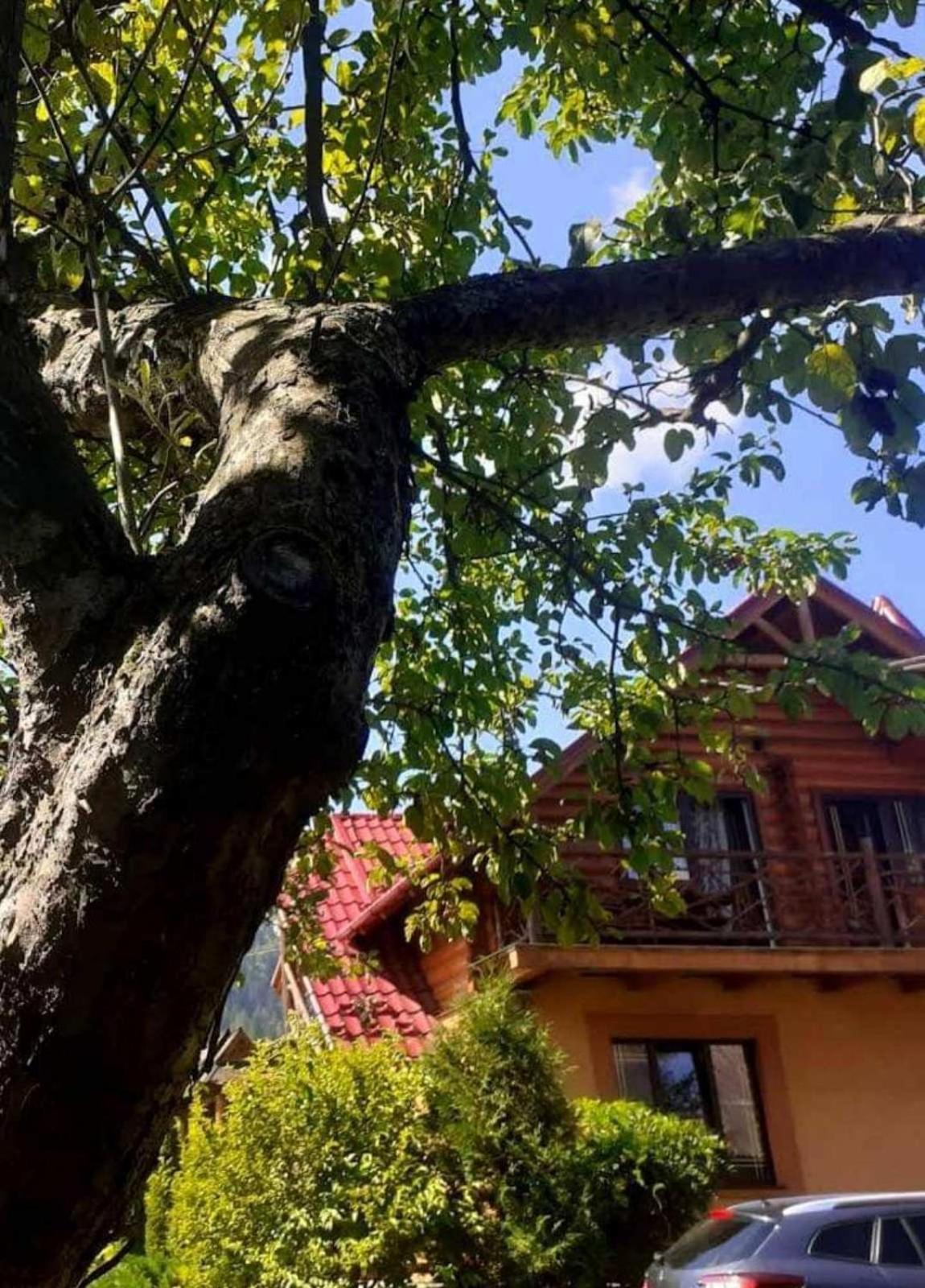 Гостевой дом Vodoliy Микуличин Экстерьер фото